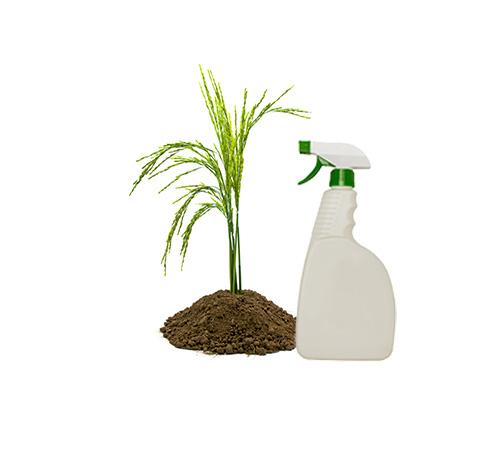 Agro Chemicals consultants-SolutionBuggy