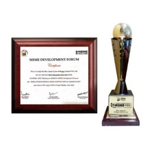 Awards & Media-SolutionBuggy