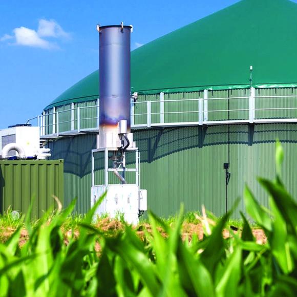 Biogas consultants-SolutionBuggy
