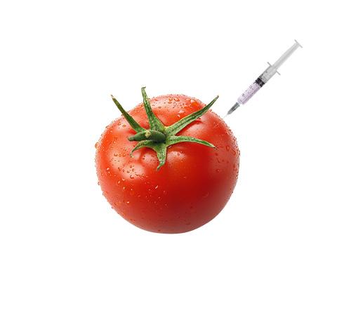 Food Chemicals consultants-SolutionBuggy