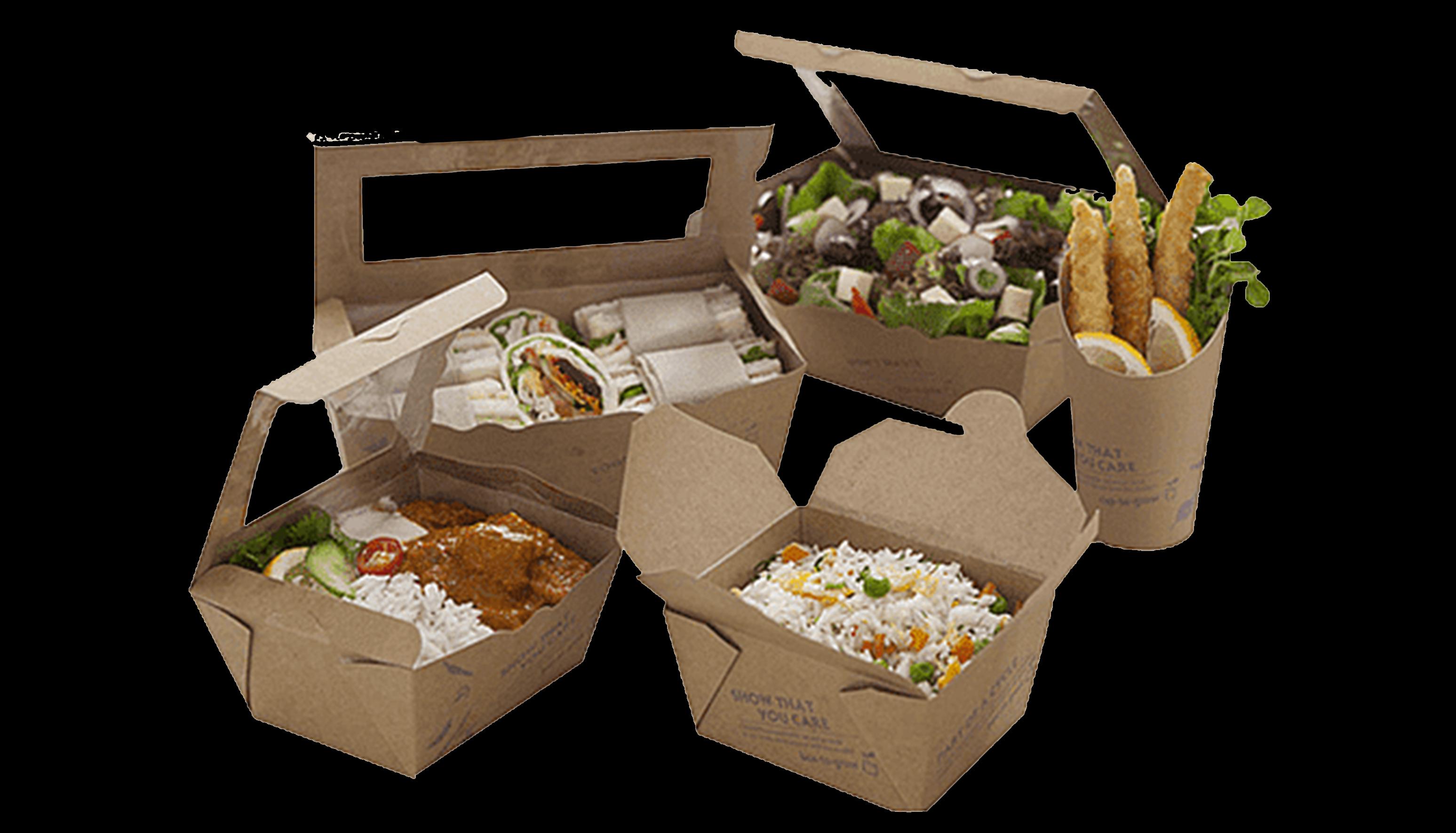Sustainable Packaging consultants-SolutionBuggy