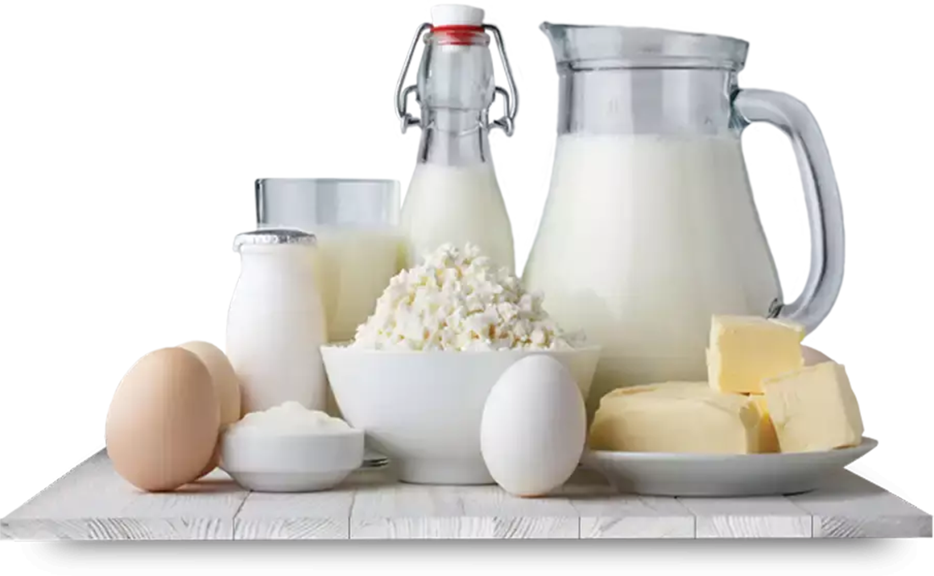 Dairy Products consultants