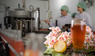 Dough Darlings India received bakery product development solutions for Aata-based cookies, buns, nachos, and bread.-SolutionBuggy