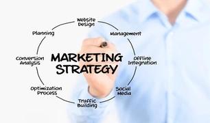 Looking for an expert to help in improving the sales and building a strong marketing strategy-SolutionBuggy