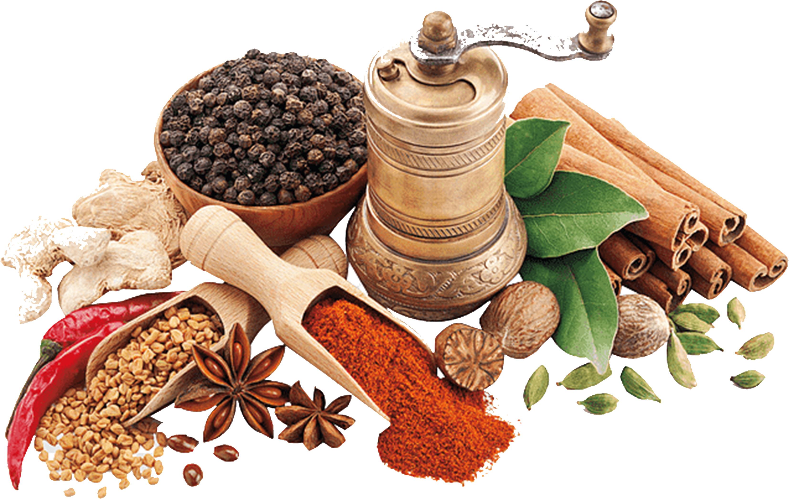 Spices & Condiment consultants