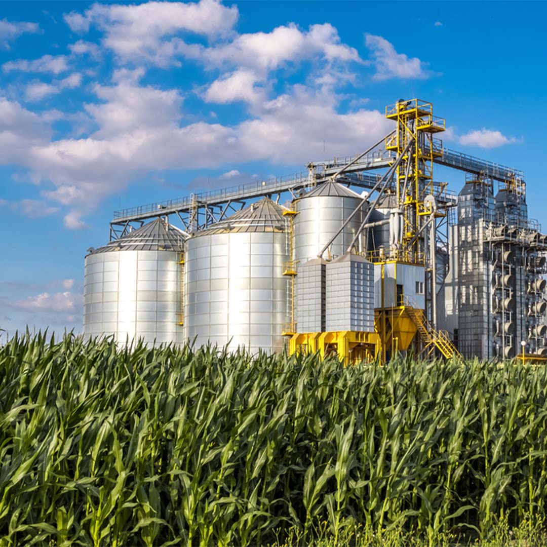 Agro-Processing Industry