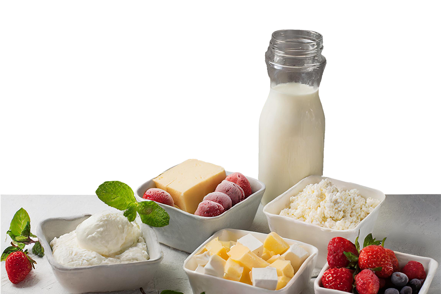 Dairy Manufacturing